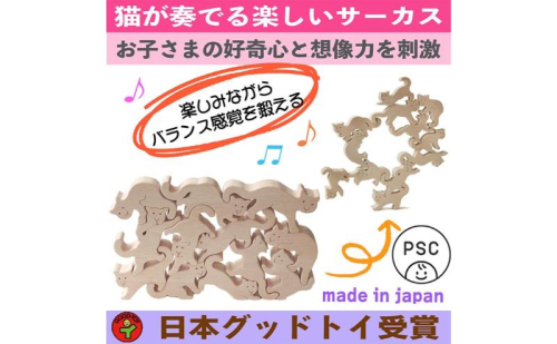 木のおもちゃ/ネコの自由積み木 psc 世界まる見えテレビ特捜部に登場 知育玩具 出産祝い 型はめ パズル 赤ちゃん おもちゃ 日本製 男の子女の子 プレゼント 木製 老人 リハビリ 玩具療法