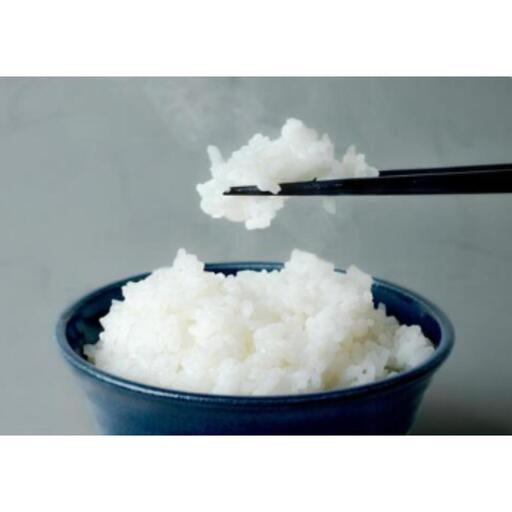 こしひかり 富士 5kg