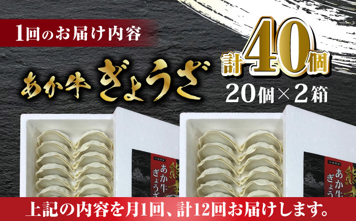 【数量限定】【全12回定期便】熊本和牛 あか牛ぎょうざ 20個×2箱【有限会社 三協畜産】 餃子 ぎょうざ ギョウザ 熊本和牛 和牛 牛  [ZEB092]