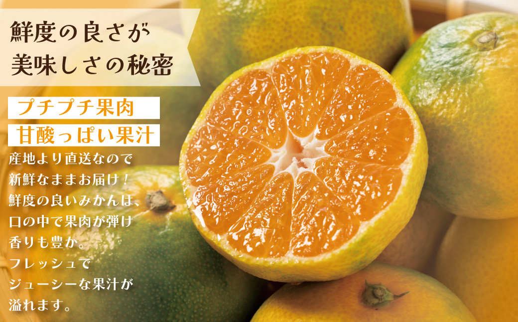 和歌山県産 極早生みかん 家庭用 Mサイズ 5kg ［Sn14］