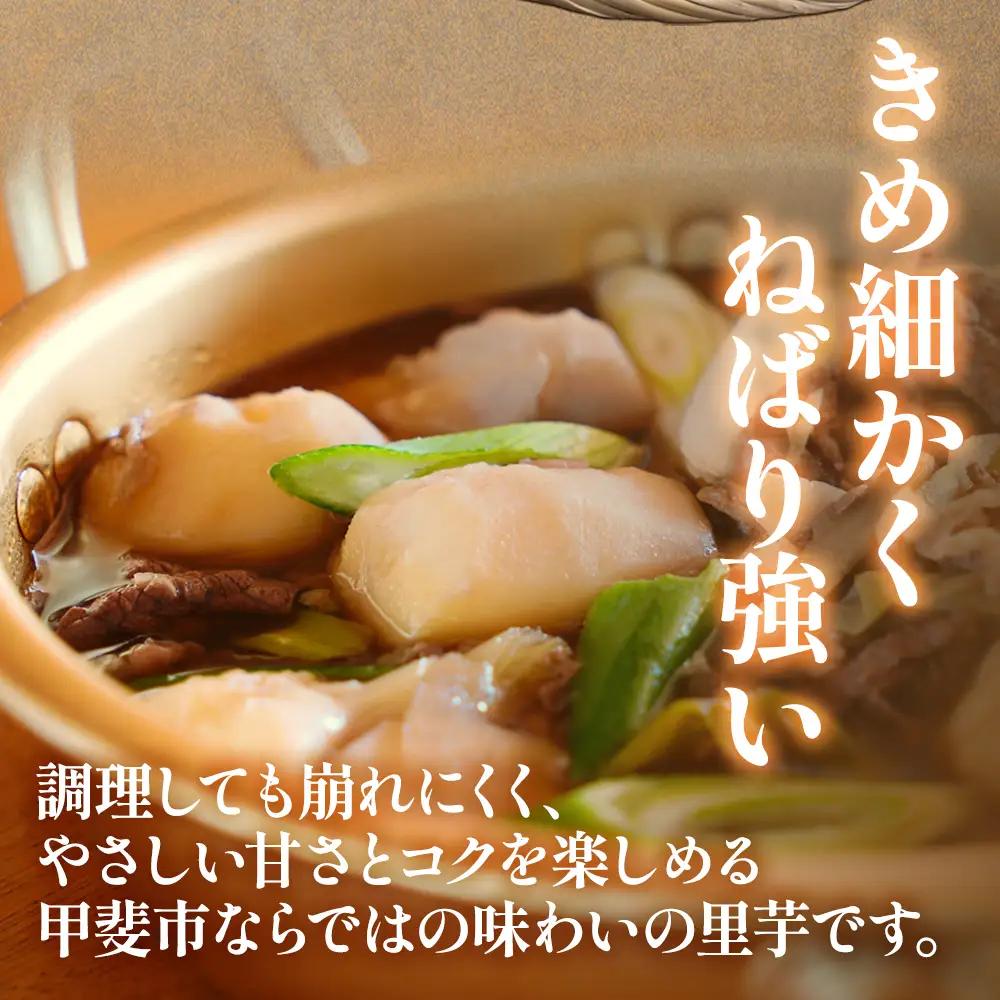 【先行予約】甲斐市産 八幡芋 2L～3Lサイズ 2.0kg 里芋 いも ミクニ農園