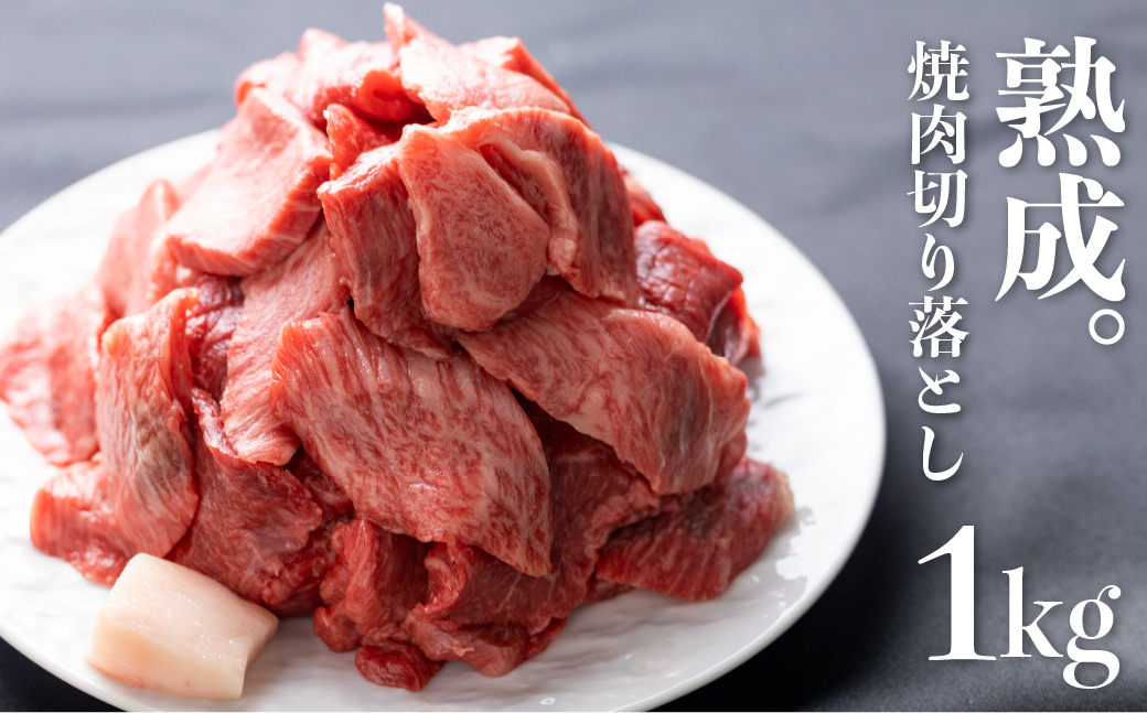 
飛騨の牧場で育った熟成飛騨牛『山勇牛』焼肉 切り落とし 切落し 訳あり 訳アリ わけあり ワケアリ 不揃い ミックス 希少部位入り 1kg A4・A5ランク飛騨牛
