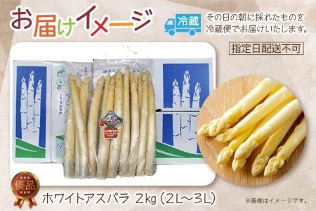【ふるなびWEEK対象】2026年発送 ホワイトアスパラ 2kg(2L～3L ）【優品】 白旬 新鮮 野菜 朝採れ アスパラ アスパラガス ギフト 産地直送 お取り寄せ フレッシュ 甘い 春 春野菜 