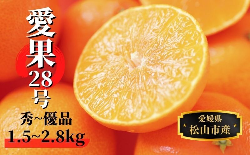 
                  【2026年12月頃から順次発送】愛果28号 ( 紅まどんな と同品種) 秀~優品 約1.5kg / 約2.8kg  | 愛媛県産 みかん 蜜柑 オレンジ 柑橘 果物 フルーツ お取り寄せ おすすめ 愛媛県 松山市
                