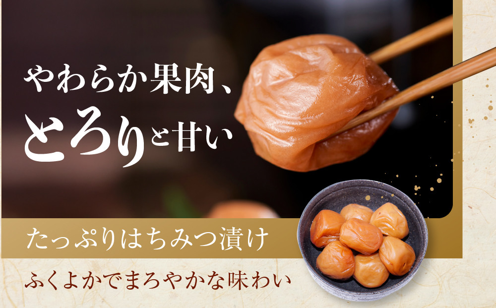 紀州南高梅 はちみつ極 塩分約6％ 850g ［YM10w］
