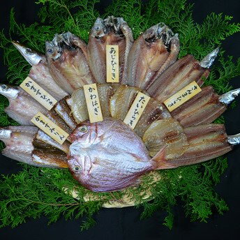 【ふるさと納税】熊野干物詰め合わせ 海の恵み A 鯛 アジ サンマ カマス カワハギ