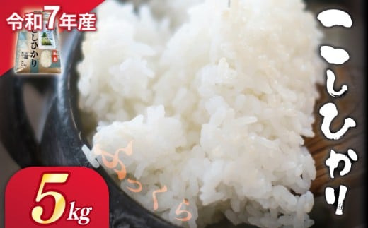令和7年産 白米 精米 5kg コシヒカリ つげゆたか こしひかり つやつや ふっくら おいしい うま味 甘 甘い 産地直送 農家直送 お米 こめ ブランド 高級 米 お弁当 弁当 ご飯 おにぎり ごはん 白米 贈り物 贈答 都祁地産地消推進会 奈良県 奈良市
