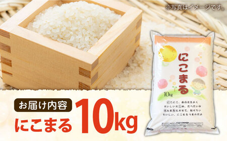 長崎県産 精米 にこまる10kg / 米 南島原市 / 大松屋商店[SDR005]