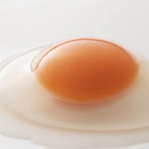 生で食べて美味しい　船橋たまご　18個セット　6個×3パック　奈良養鶏園　農場HACCP認証　船橋産　卵　玉子　鶏卵　たまごかけご飯　TKG