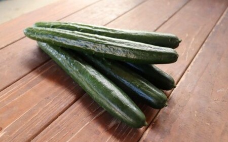 四万十市産 きゅうり 2kg 朝採れ 新鮮 野菜 やさい 高知県産 国産 胡瓜 キュウリ みずみずしい 産地直送 お取り寄せ 旬 ハウス栽培 農家直送 高知県 高知 四万十市 四万十 しまんと【発送時