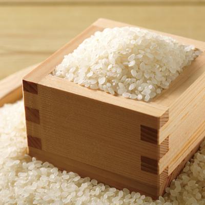 ふるさと納税 四万十市 【令和7年産新米・数量限定】四万十の山間地域で育てた大宮米(ヒノヒカリ)10kg |  | 01