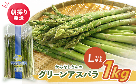 【2026年産先行受付】朝採り発送 かみなしさんのグリーンアスパラ 1kg（Lサイズ以上）【32002】