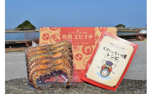 【美味しさそのまま】瞬間冷凍ブランド車海老『板馬エビイチ』M500g