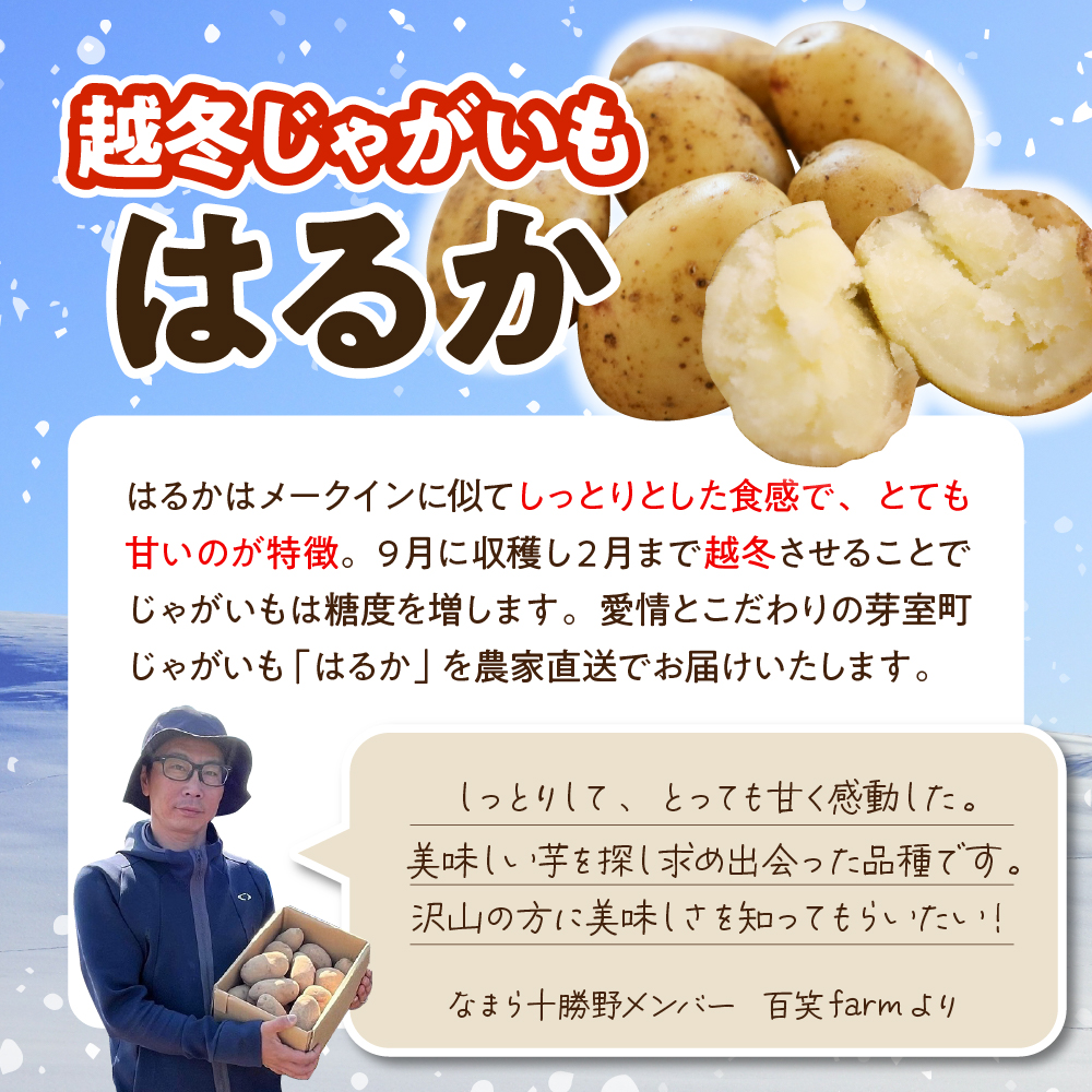 北海道十勝芽室町　なまら十勝野　越冬じゃがいも　はるか　5kg　me001-028c