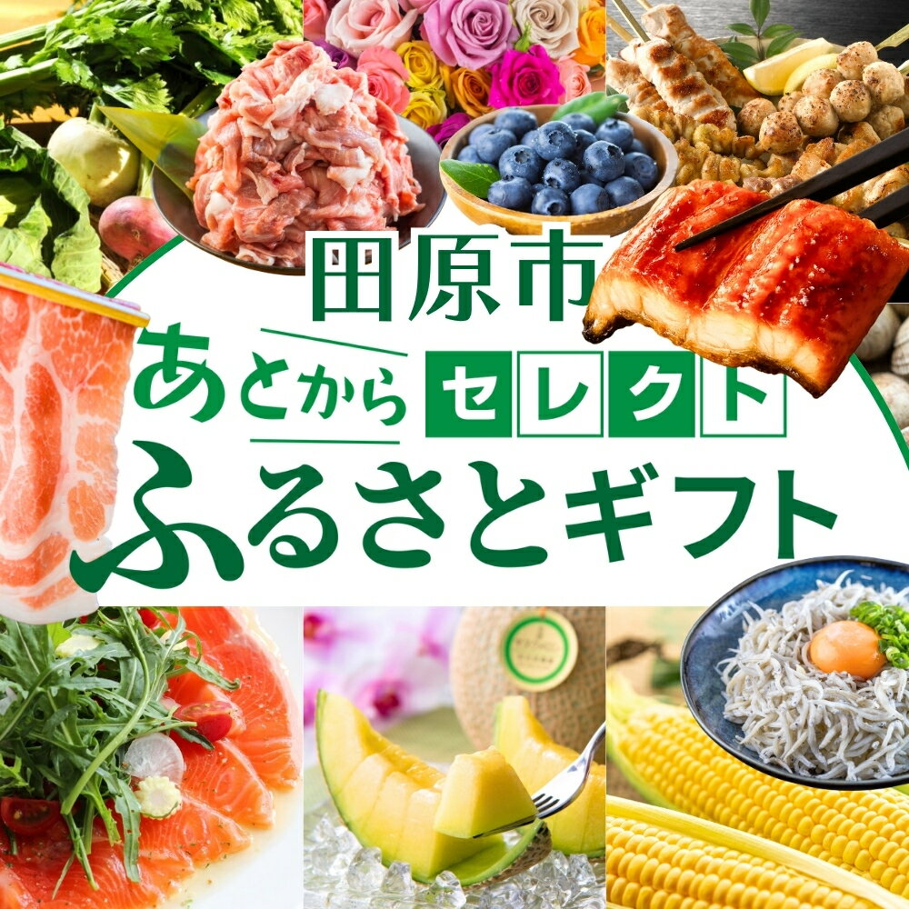 【ふるさと納税】＼約500品から選べる／あとから選べる！オンラインカタログ あとからセレクト 地鶏 名古屋コーチン 牛肉 肉 国産牛 田原ポーク 豚肉 いちご メロン 選べる しらす うなぎ カタログ 定期便 特産品 グルメ 田原市