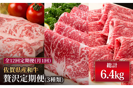 【12回定期便】佐賀産和牛 贅沢定期便 / 牛肉 肉 国産牛 冷凍  [IAG070]