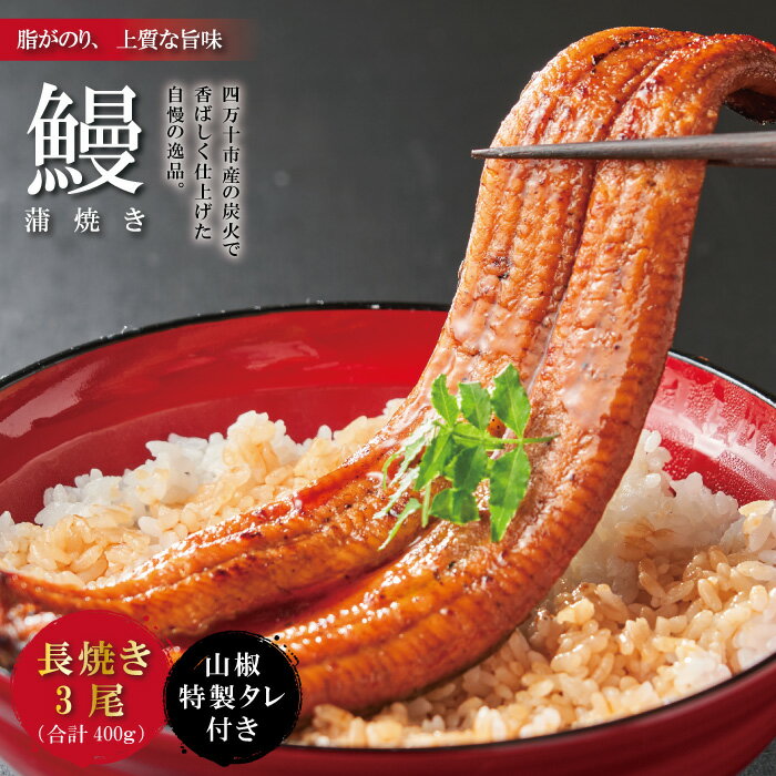 【ふるさと納税】26-367．＜四万十食品＞うなぎ蒲焼　長焼3尾／CD 国産 ふるさと納税 うなぎ 高知 四万十 鰻 ウナギ お取り寄せグルメ 国産鰻 蒲焼 鰻蒲焼 3尾 送料無料