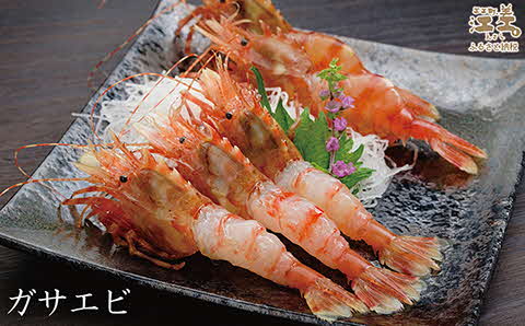 《1月から発送》北海道産 「幻のえび」希少な天然ガサエビ 500g　引き締まった身肉と飽きのこない旨味 濃いエビの味が楽しめます！　国産　江差近海産　天然もの　エビかご漁師直送　最良品厳選　生食可　お