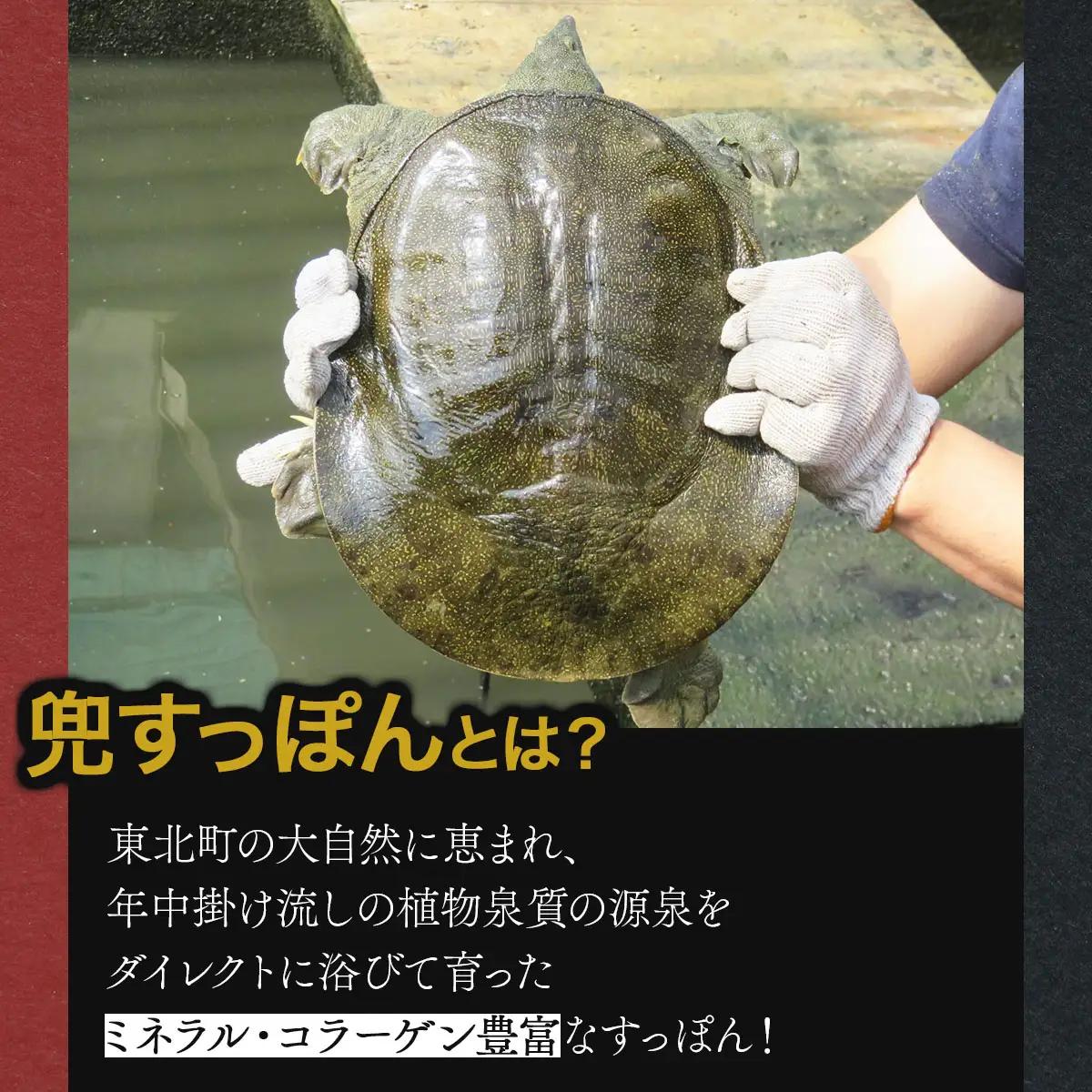モール温泉「兜すっぽん」鍋　青森シャモロック味5セット 【兜すっぽん すっぽん すっぽん鍋セット ミネラル コラーゲン 青森シャモロック スープ 青森県 贈り物 贈答 ギフト プレゼント】　【0240