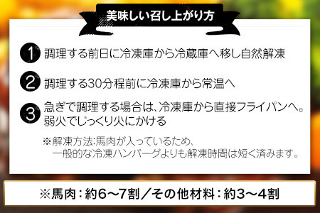 ハンバーグ 馬肉入り ハンバーグ(約150g×15個)　肉の宮本