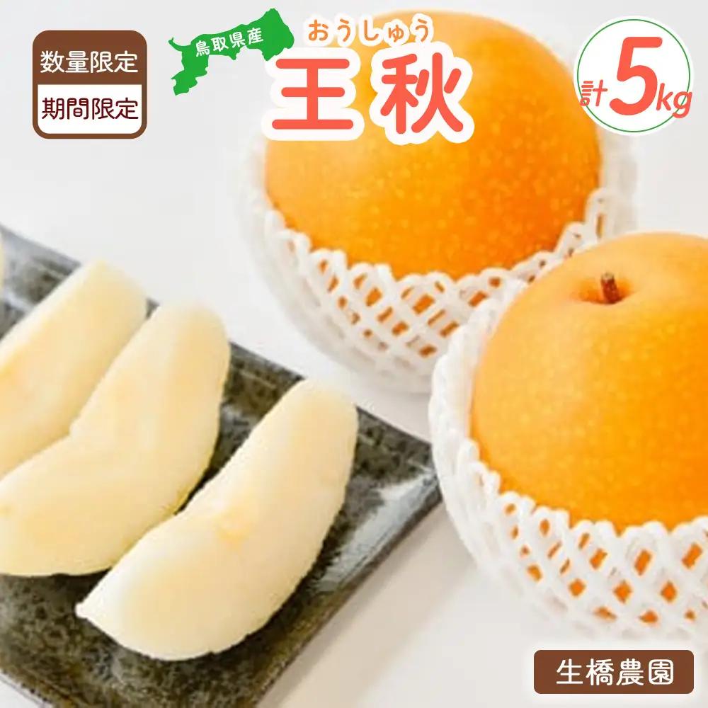 王秋 ５kg 鳥取県産（生橋農園） 梨 和梨 王秋