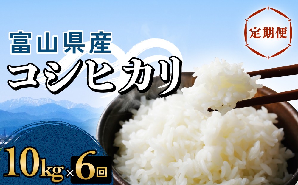 
                  【6回定期便】富山県産 コシヒカリ 10kg 富山県 氷見市 米 コシヒカリ 定期便
                