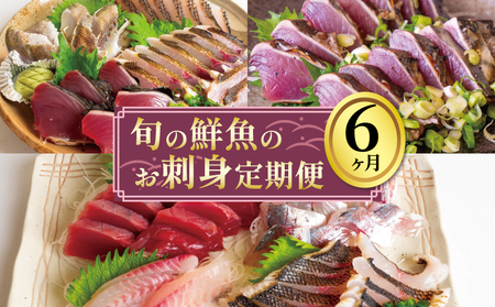 お刺身 定期便 6回 刺身 刺身 刺身 刺身 刺身 GK1000