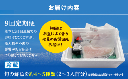 【配送地域限定】 産地直送 氷見漁港 朝どれ鮮魚お刺身セット定期便9ヶ月連続 土日祝日配達希望
