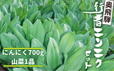 生行者ニンニク 700g 山菜1品 / ニンニク にんにく [Q655xch] 