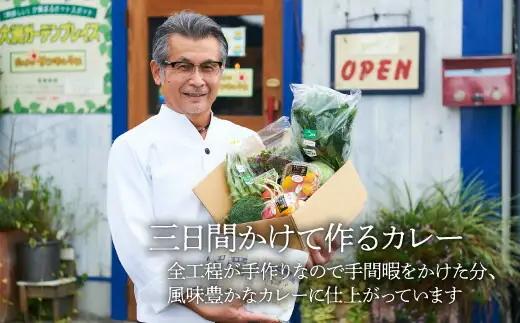 【全12回定期便】旬野菜×手作りカレーセット  /ヒロファミリーフーズ[AGBX027] カレー 定期便