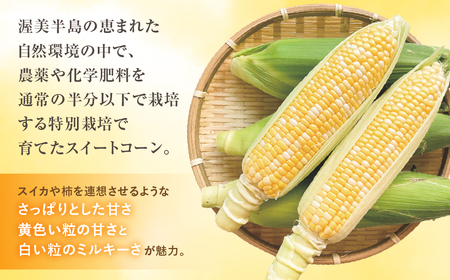 【先行予約】氷締めとうもろこし バイカラー 20本～24本 寺田さんちのとうもろこし