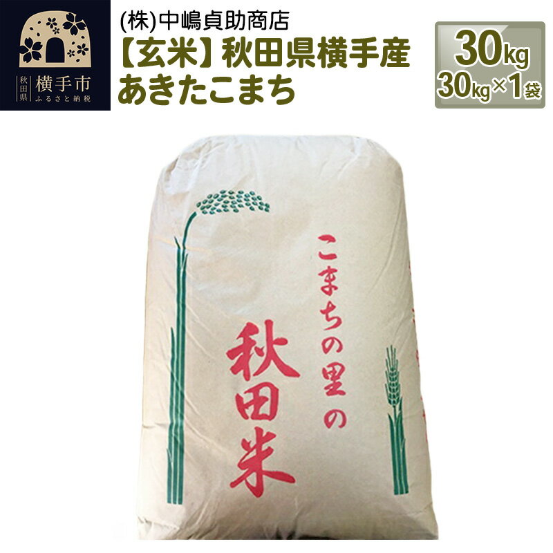 【ふるさと納税】【令和7年産】【玄米】秋田県横手産あきたこまち 30kg(30kg×1袋)