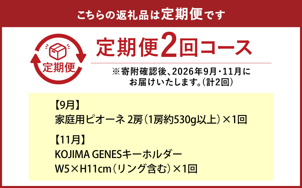 【全2回定期便】 家庭用 ピオーネ 2房（1房約530g以上）＋ KOJIMA GENES キーホルダー フルーツ 果物 ブドウ ぶどう 葡萄 国産 ギフト 贈答 【2026年9月・11月発送予定】