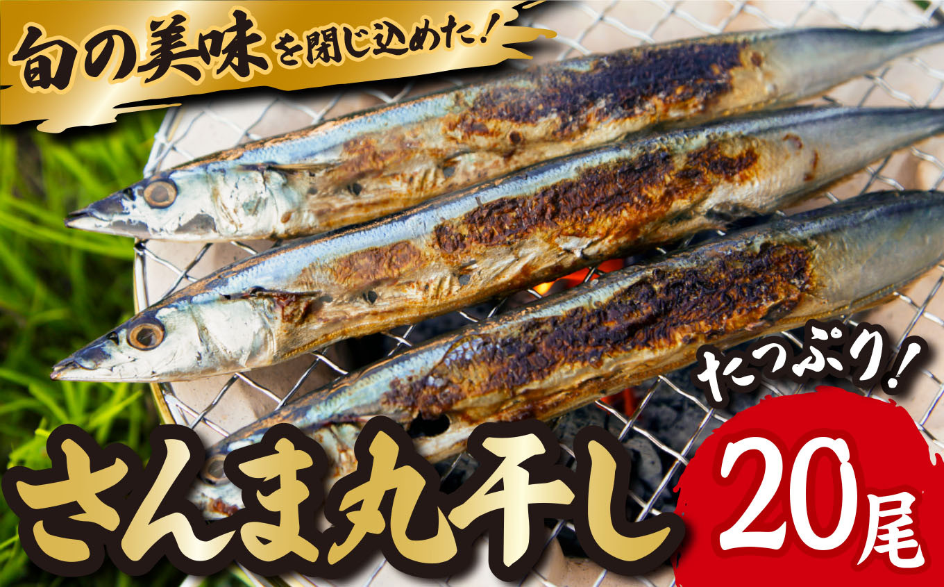 
                  旬 の 美味しさ を閉じ込めた さんま 丸干し ４匹入り×５袋セット 脂 ののった 旬の 秋刀魚 丸ごと 一夜干し 旬の 旨み 脂 を閉じ込めました サンマ 丸干し 海鮮 魚介 三重県 尾鷲 IW-f-8
                