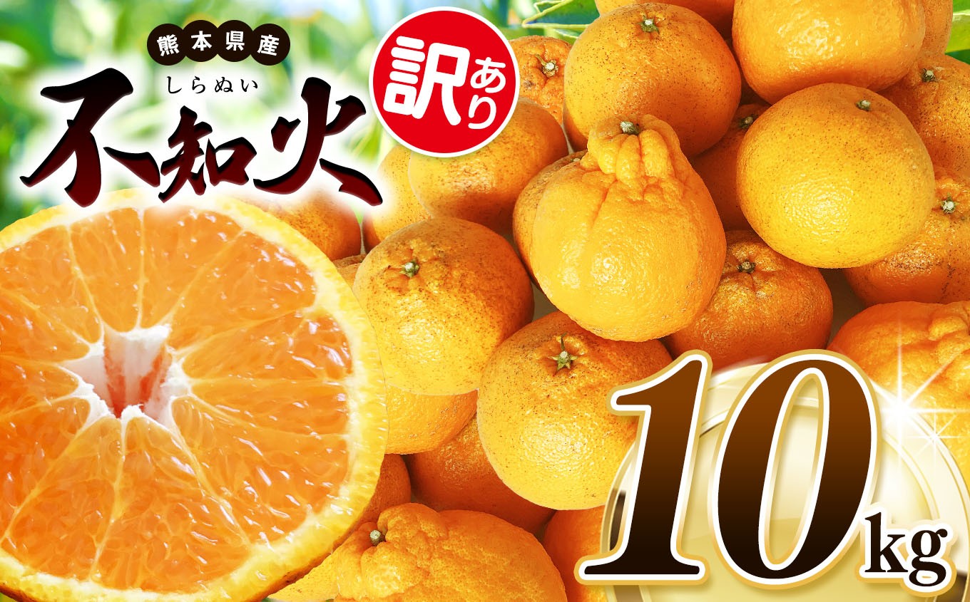 
            【 先行予約 】 訳あり 不知火 約 10kg 池田ファーム | 柑橘 みかん フルーツ 和製 わけあり 訳アリ 家庭用 果物 熊本県産 熊本県 熊本 くまもと 和水町 なごみまち なごみ ミカン 柑橘類 果物 フルーツ 
          