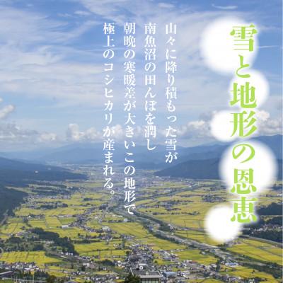 ふるさと納税 南魚沼市 【令和8年産 新米】 無地のし 無洗米 南魚沼産 コシヒカリ 10kg (お米の炊き方ガイド付) |  | 01