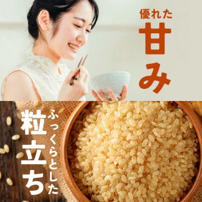 ふるさと納税 笠間市 【毎月定期便】【玄米】笠間産 コシヒカリ 5kg全3回 |  | 02