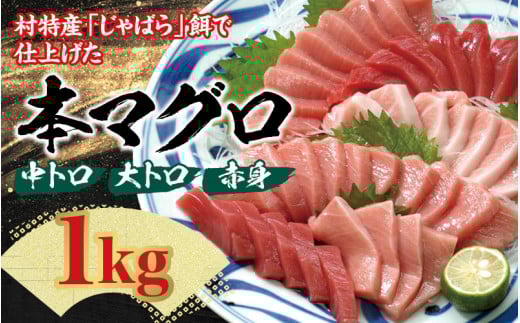 本マグロ（養殖）トロ＆赤身セット1kg 【8月発送】/ まぐろ 鮪 とろ 赤身 魚介 海鮮 魚 本マグロ【nks105B-8】