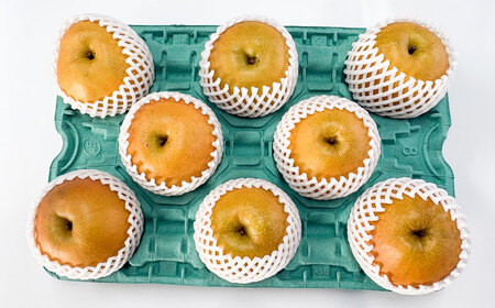 佐賀県産 梨（品種おまかせ）5kg / 和梨 果物 フルーツ 幸水 豊水 / 佐賀県 / リフルット株式会社[41ABAA025]