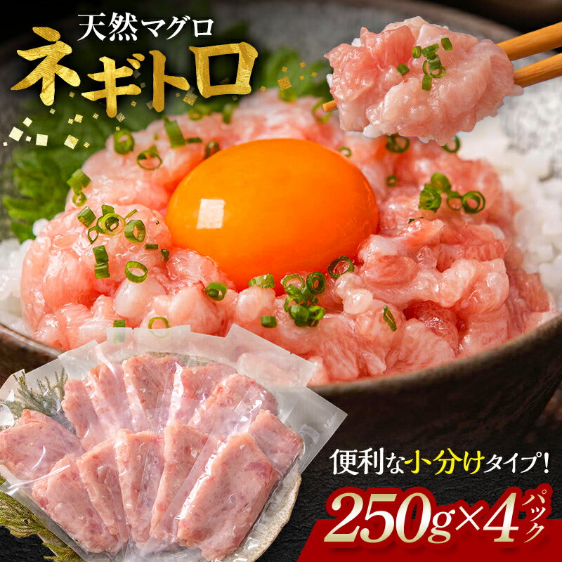 【ふるさと納税】ふわとろネギトロ粗挽き＋ネギトロ専用の特選醤油（ミニ）5本セット付き【天然マグロ使用】約1キロ／ 送料無料 福井県越前市 ねぎとろ まぐろたたき 丼 手巻き寿司 鮪 マグロ 天然まぐろ(18209）