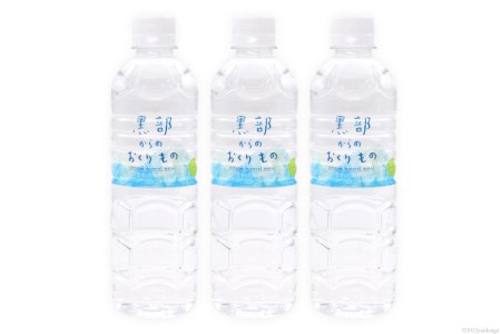 【合計288本】定期便 黒部からのおくりもの 500ml×24本×1ケース×12回 総計144L 水 飲料水 名水 ミネラルウォーター/IAC/富山県 黒部市 備蓄 保存 飲料類 