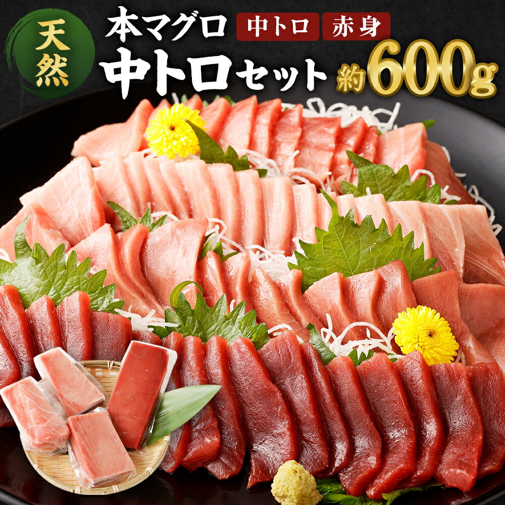 【ふるさと納税】 厳選 天然 本マグロ 中トロ たっぷりセット 合計約600g ( 中トロ 400g・ 赤身 200g) ふるさと納税 限定 食べ比べ ブロック 魚 惣菜 刺身 魚介 お刺し身 鮪 まぐろ丼 刺身 手巻き寿司 海鮮丼 漬け丼 冷凍 送料無料 訳アリ訳あり 人気 さしみ 高知県 室戸市