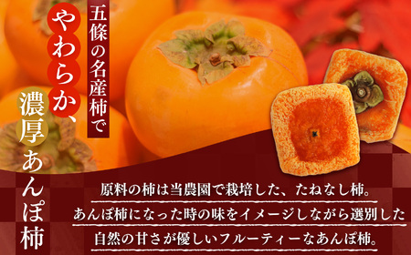 【柿農家のこだわり】五條柿の無添加チップとあんぽ柿の詰め合わせセット | フルーツ 果物 くだもの 柿 かき カキ 柿チップ あんぽ柿 お菓子 奈良県 五條市
