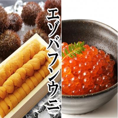ふるさと納税 根室市 エゾバフンウニ1折、いくら醤油漬(鱒卵)1P[2027年1月中旬以降発送] D-40051