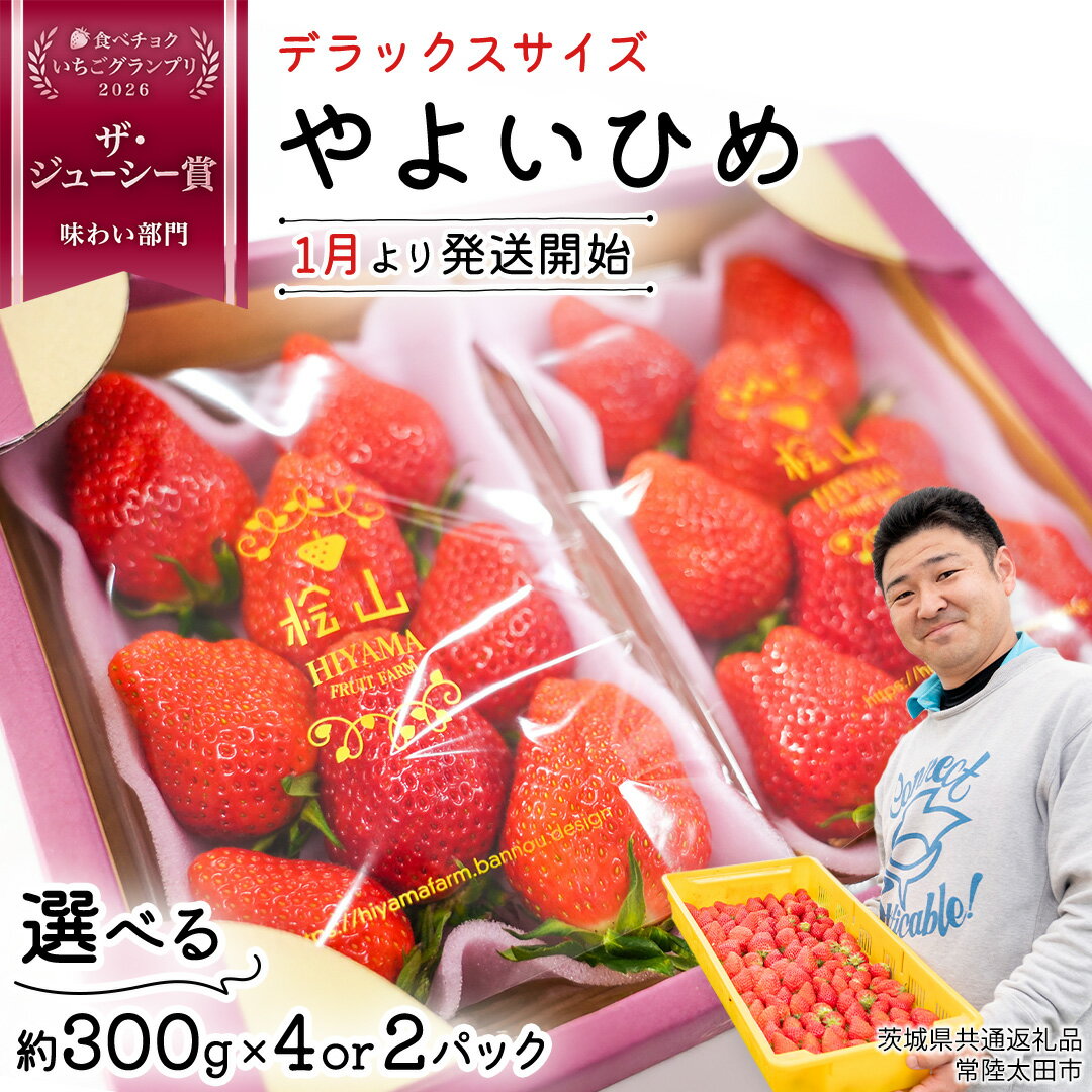 【ふるさと納税】【 先行予約 】 いちご やよいひめ 特大 デラックス サイズ 選べる 2パック または 4パック 【 2025年1月から発送開始 】 ( 茨城県共通返礼品 : 常陸太田市 ) 苺 イチゴ フルーツ 果物 選べる容量 約300g×2パック または 約300g×4パック