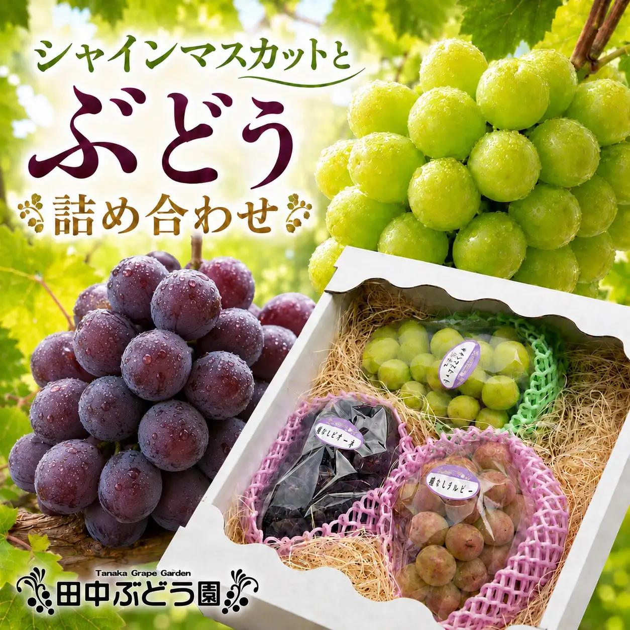シャインマスカットと大粒ぶどう詰め合わせ 約1.9~2.1kg（3～4房）巨峰  ピオーネ