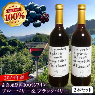 ふるさと納税 糸島市 2023年産 糸島産ブルーベリー・ブラックベリーワイン 720ml×2種セット[AHM002]