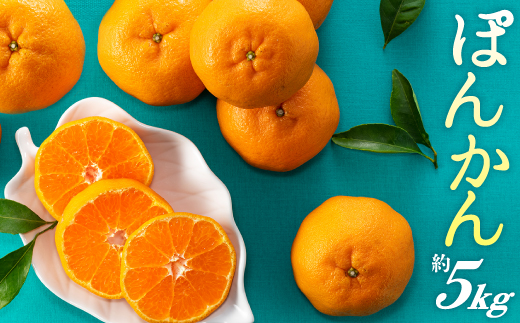 AA076.ぽんかん（5kg程度）／2026年12月～2027年1月配送予定