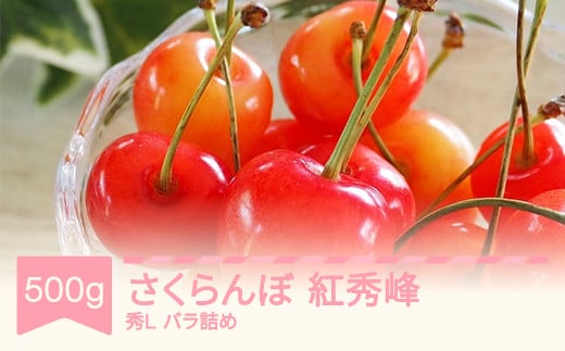 先行予約 さくらんぼ 紅秀峰 秀Lサイズ 500g バラ詰め   2025年産 令和7年産 山形県産 ns-bsslb500
