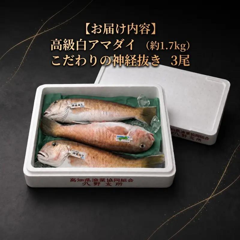 神経ぬき白アマダイ 約1.7kg（3尾） 四万十沖［1760］